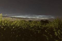 S-Rubie-NLC-2024-06-28-at-23.06.01