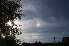Sundog_hw01
