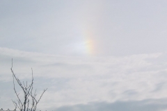 sundog_tm01