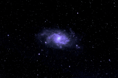 M33 by Leigh Major