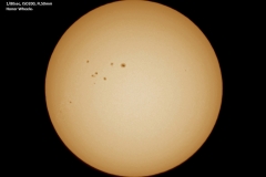 DartfordSteam2014SunHonor