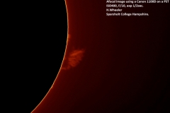 Winchester 2016-20-160402hw_4709